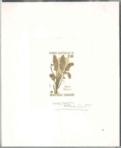 FSAT_1986_Yvert_118-Scott_121_ocher