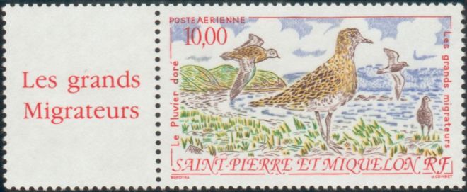 St_Pierre_1993_Yvert_PA73-Scott_C70