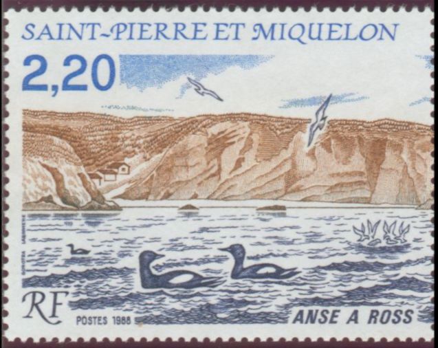 St_Pierre_1988_Yvert_494-Scott
