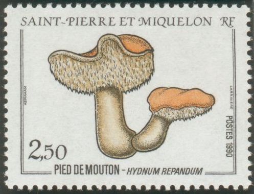 St_Pierre_1990_Yvert_513-Scott