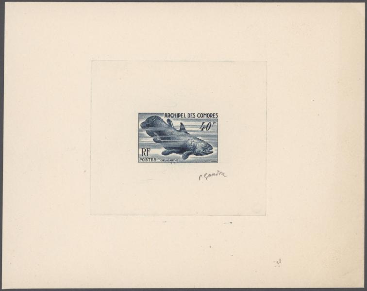 Comores_1954_Yvert_13-Scott_42_blue_aa