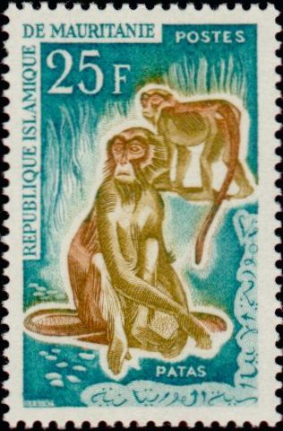 Mauritania_1963_Yvert_173-Scott_142
