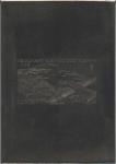 Fr_West_Africa_1947_Yvert_PA12-Scott_C12_hardened