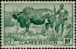 Cameroun_1946_Yvert_276-Scott_304