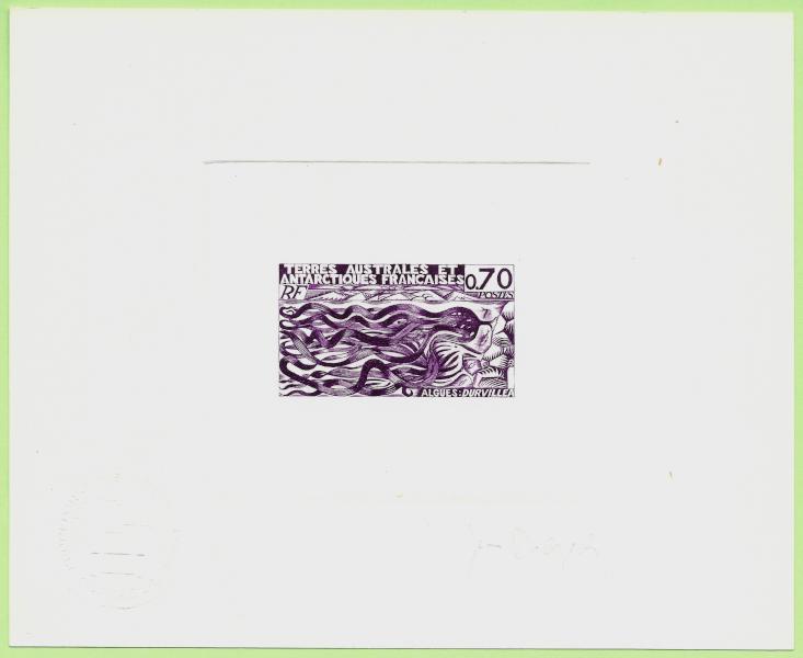 FSAT_1977_Yvert_69-Scott_71_violet_a