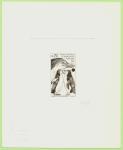 FSAT_1979_Yvert_81-Scott_82_dark-brown_a