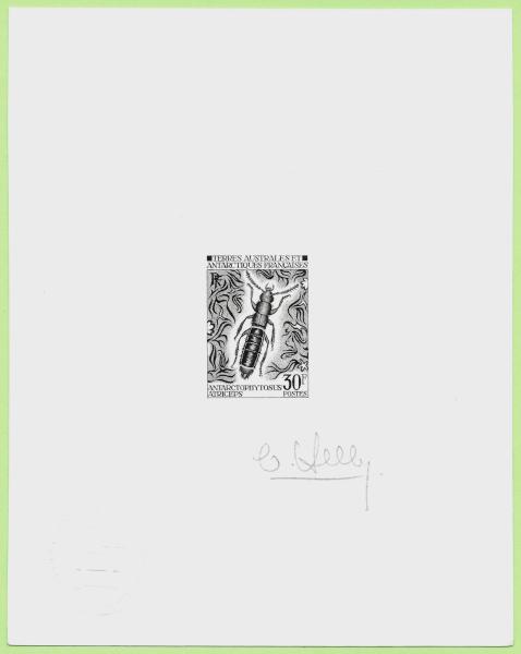 FSAT_1973_Yvert_51-Scott_51_black_c