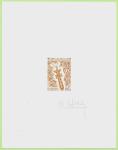 FSAT_1973_Yvert_50-Scott_50_brown-orange_a