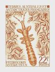 FSAT_1973_Yvert_50-Scott_50_brown-orange_a_detail