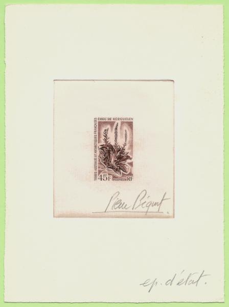 FSAT_1973_Yvert_48-Scott_54_etat_brown