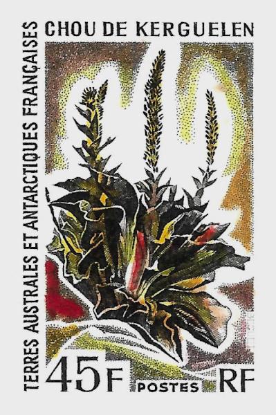 FSAT_1973_Yvert_48-Scott_54_hand_multicolor_on_black_detail