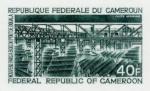 Cameroun_1971_Yvert_PA176-Scott_C161_dark-green_b_detail