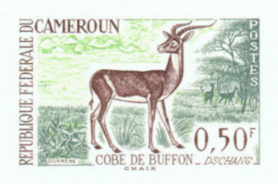 Cameroun_1962_Yvert_341a-Scott_360_unadopted_50c_Cobe_de_Buffon_green_+_dark-green_+_dark-brown_b_AP_detail