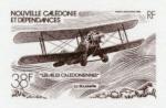 N_Caledonia_1982_Yvert_PA220-Scott_C180_dark-brown_b_detail