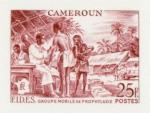 Cameroun_1956_Yvert_303-Scott_329_red-brown_detail