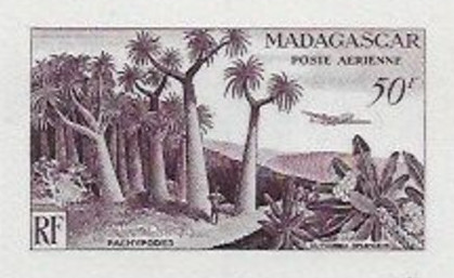 Madagascar_1954_Yvert_PA75-Scott_C58_dark-violet_a_detail