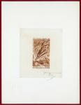 Chad_1968_Yvert_PA45-Scott_C41_brown_b