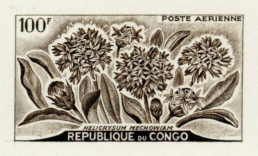 Congo_1961_Yvert_PA2-Scott_C2_sepia_d_detail