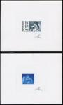 France_1982_Yvert_2205-Scott_1825_positive_grey-blue_+_negative_blue