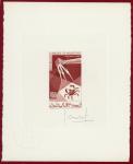 Mauritania_1965_Yvert_PA46-Scott_C42_red-brown