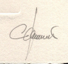 2012_Jumelet_c
