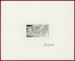 Niger_1981_Yvert_547-Scott_554_black_c