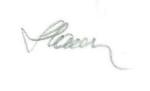 1992_Slania_d