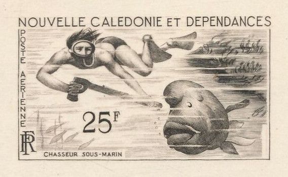N_Caledonia_1962_Yvert_PA69-Scott_C31_sepia_c_detail