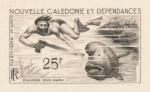 N_Caledonia_1962_Yvert_PA69-Scott_C31_sepia_c_detail