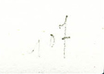 France_1948_Yvert-Scott_unadopted_6f_Marianne_de_Hourriez_A_black_107_typo_ab_CP_detail_b