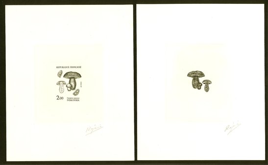 France_1987_Yvert_2488-Scott_2050_positive_+_negative_black