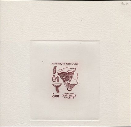 France_1987_Yvert_2489-Scott_2051_positive_dark-lilac-brown