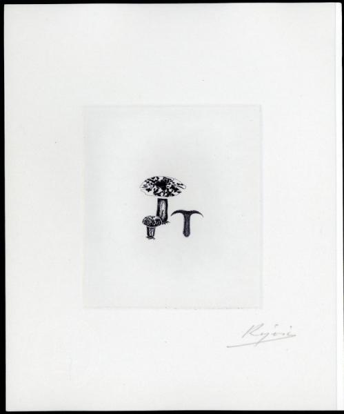 France_1987_Yvert_2491-Scott_2053_negative_dark-grey-violet