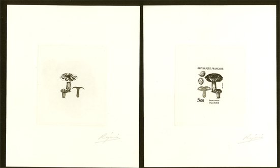 France_1987_Yvert_2491-Scott_2053_positive_+_negative_black
