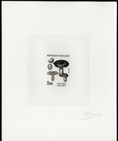 France_1987_Yvert_2491-Scott_2053_positive_black_a