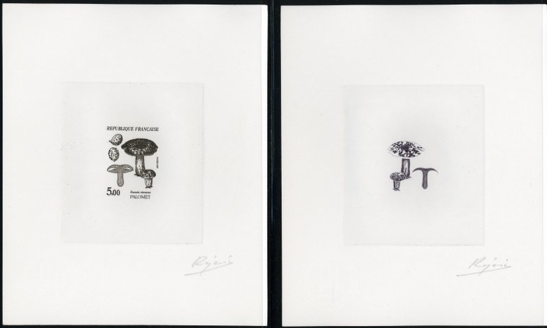 France_1987_Yvert_2491-Scott_2053_positive_black_a_+_negative_dark-grey-violet