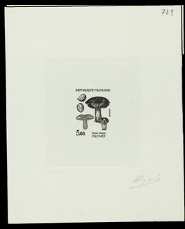France_1987_Yvert_2491-Scott_2053_positive_black_c