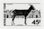 Chad_1972_Yvert_268-Scott_274_black_f_detail