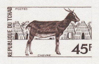 Chad_1972_Yvert_268-Scott_274_dark-brown_a_detail