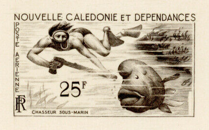 N_Caledonia_1962_Yvert_PA69-Scott_C31_sepia_d_detail