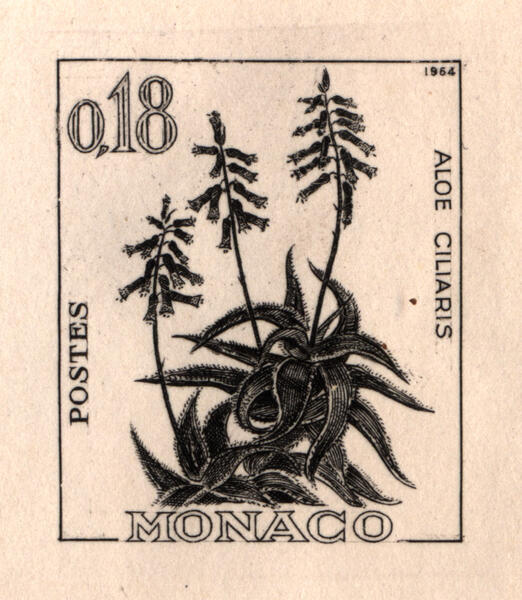 Monaco_1964_Yvert_541A-Scott_584_unadopted_aloe_black_c_AP_detail