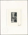 Polinesia_1982_Yvert_PA169-Scott_C193_black_c