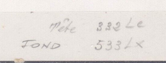 France_1960_Yvert_1263-Scott_968_tete_green_332_Lc_fond_violet_533_Lx_typo_c_detail_b