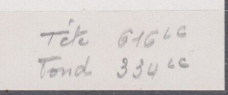 France_1960_Yvert_1263-Scott_968_tete_grey_616_Lc_fond_green_334_Lc_typo_aa_detail_b