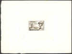 Algeria_1956_Yvert_338-Scott_280_sepia_b