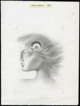 France_1976_Yvert_1892f-Scott_1496_unissued_1f_Marianne_by_Excoffon_MAQ