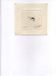 pag 037 l crab c