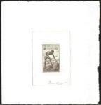 Fr_West_Africa_1947_Yvert_36-Scott_48_sepia