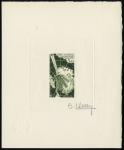 FSAT_1981_Yvert_PA69-Scott_C67_dark-olive-green