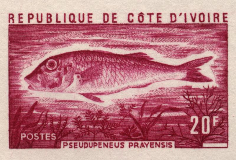 Ivory_Coast_1973_Yvert_355-Scott_345_red-lilac_aa_detail